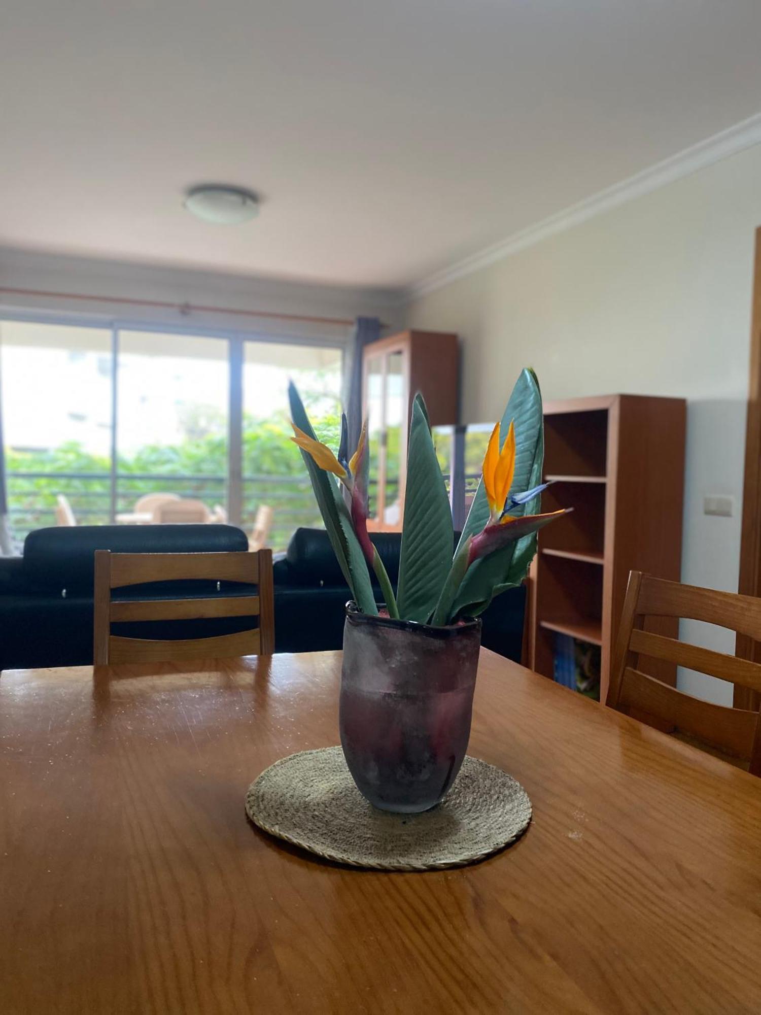 Apartamento Costa Do Sol V Funchal (Madeira)